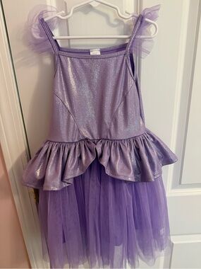 Little Adventures Large Purple Sparkle Tulle Kids Costume Dress